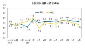 2024年10月全国居民消费价格同比上涨0.3%  